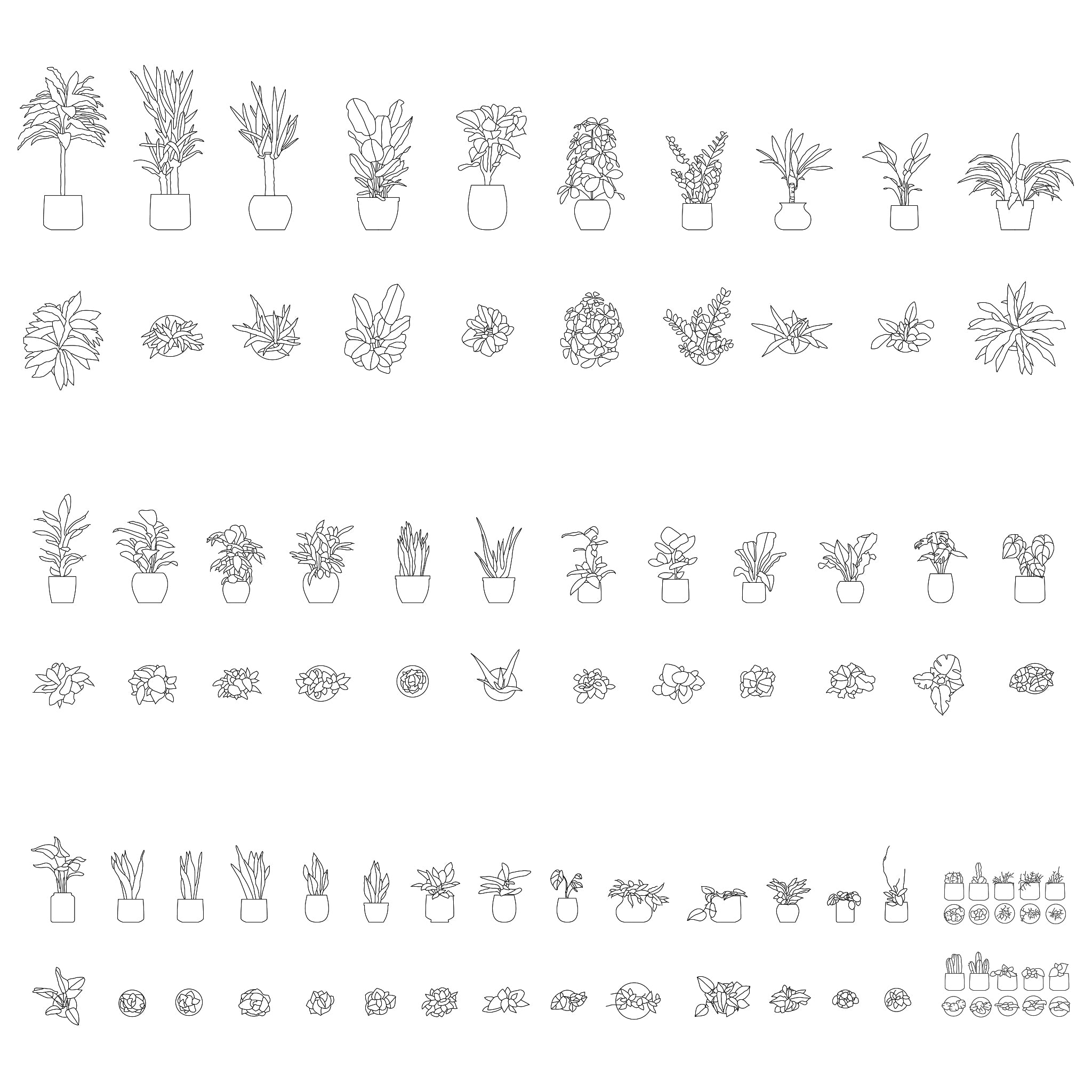 Potted Plants DWG CAD Blocks in Plan and Elevation – Cadnature