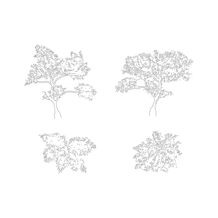 Japanese Plants and Trees DWG CAD Blocks in Plan and Elevation (25+ Pi ...