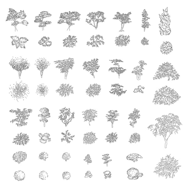 Japanese Plants and Trees DWG CAD Blocks in Plan and Elevation (25+ Pi ...