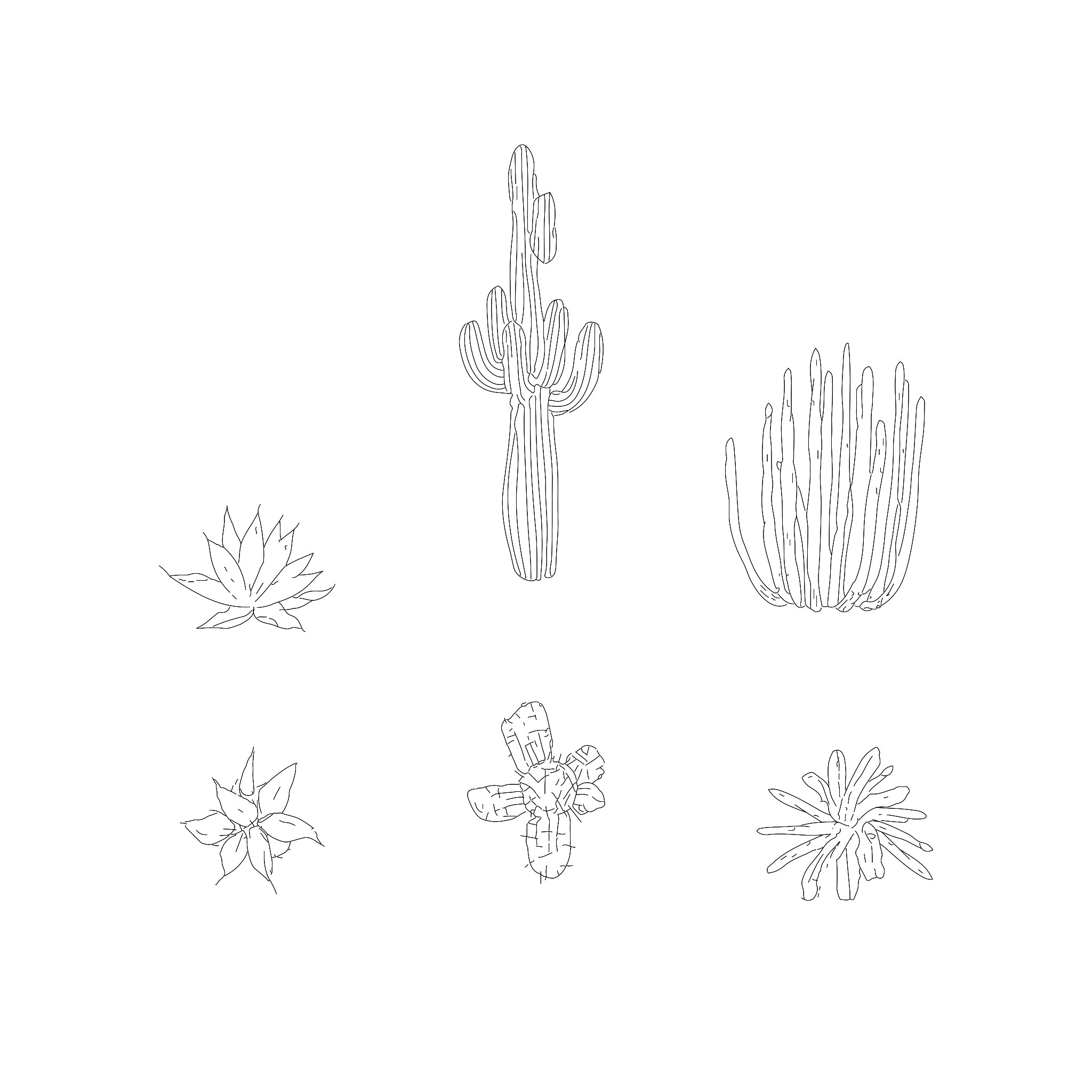 Desert Plants White Background Stock Vector Illustration and Royalty Free Desert  Plants White Background Clipart