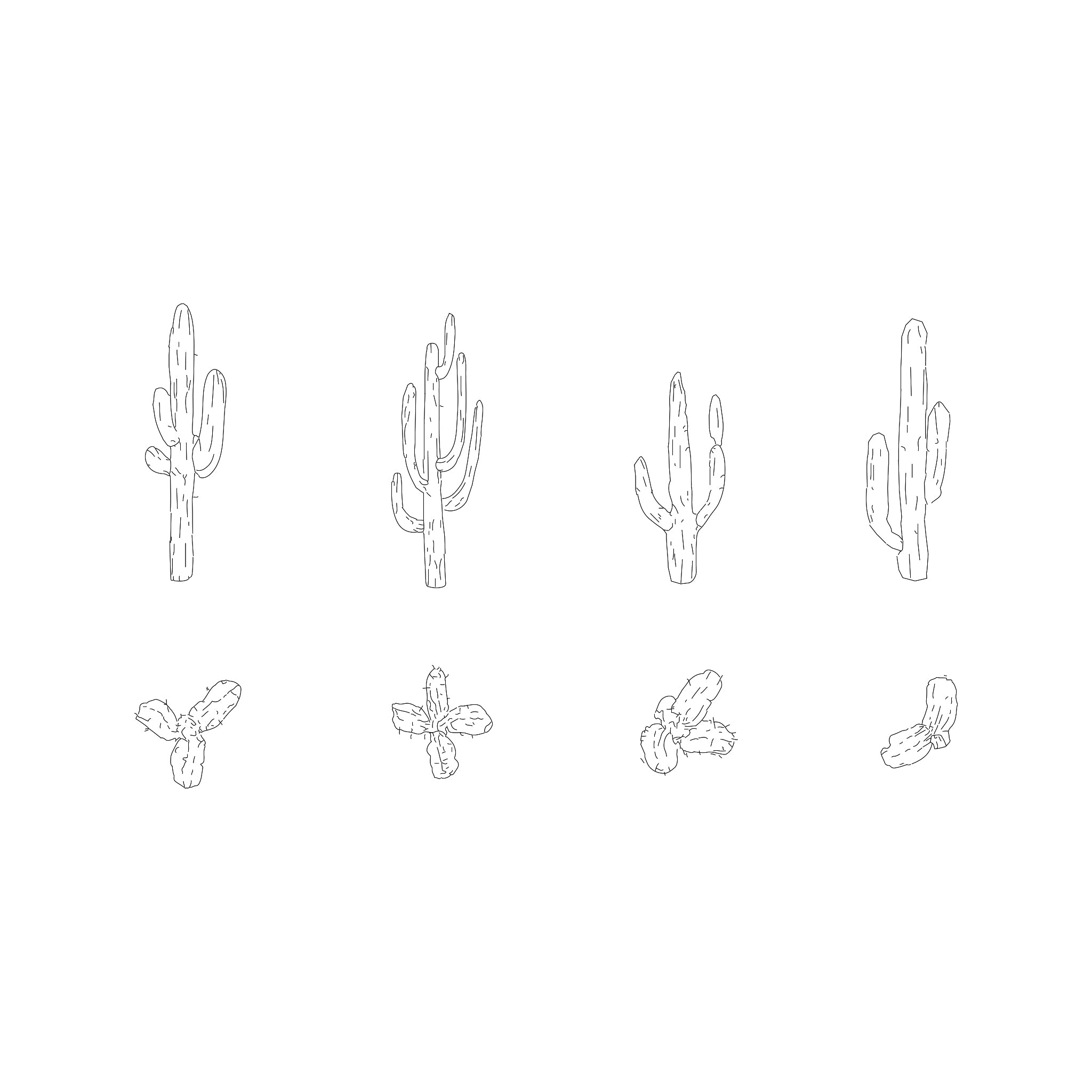Vector hand drawn wild cacti plants set. Succulent cactus desert plants  isolated on white backgrund Stock Vector by ©sanumko 202762210