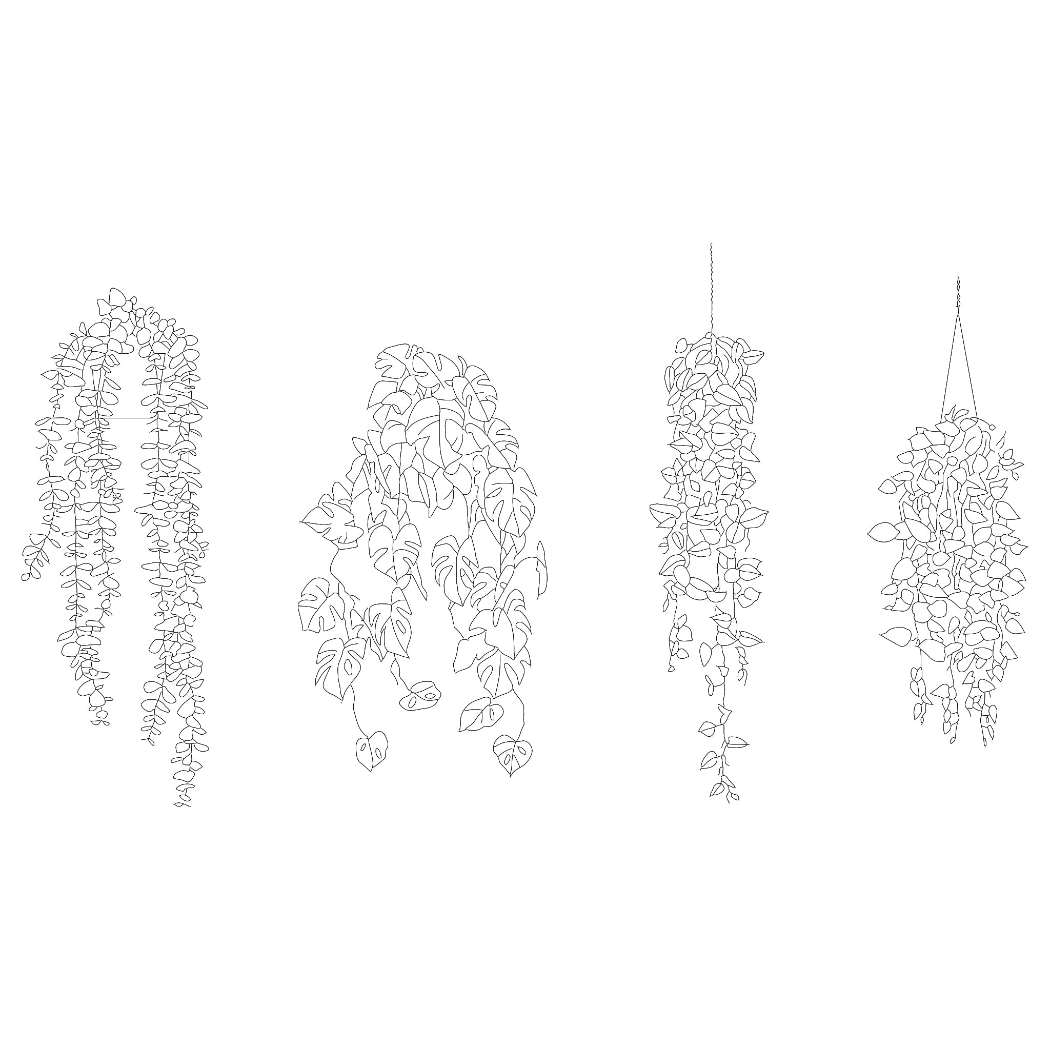 Indoor Hanging Plants DWG CAD Blocks in Elevation – Cadnature