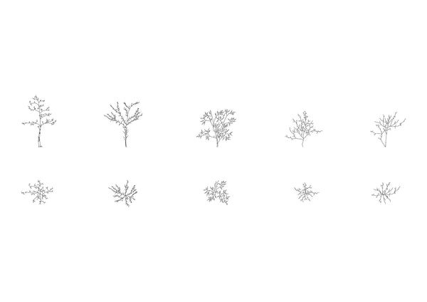 Trees and Saplings DWG CAD Blocks in Plan and Elevation (30 pieces ...