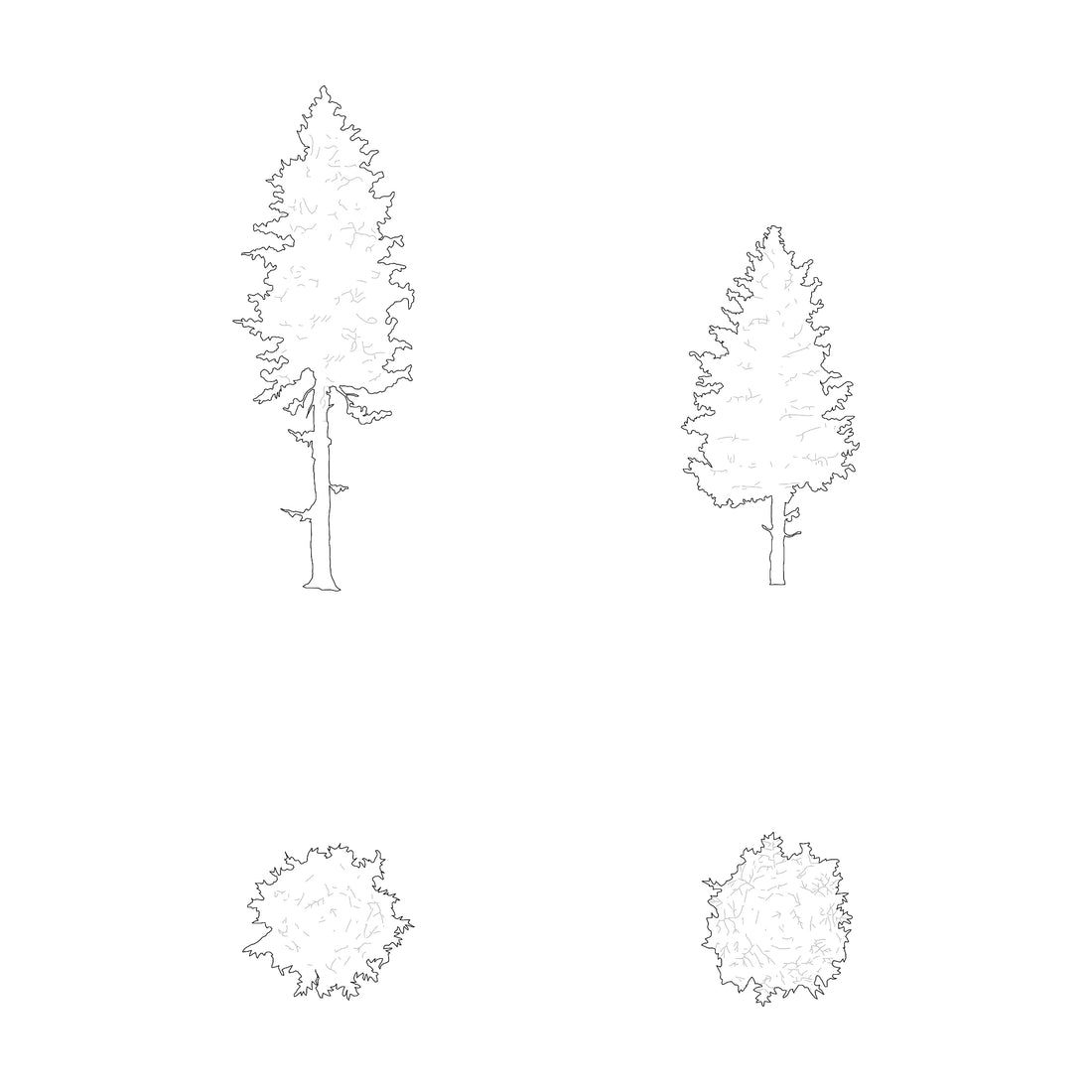 100 Trees DWG CAD Blocks in Plan and Elevation – Cadnature