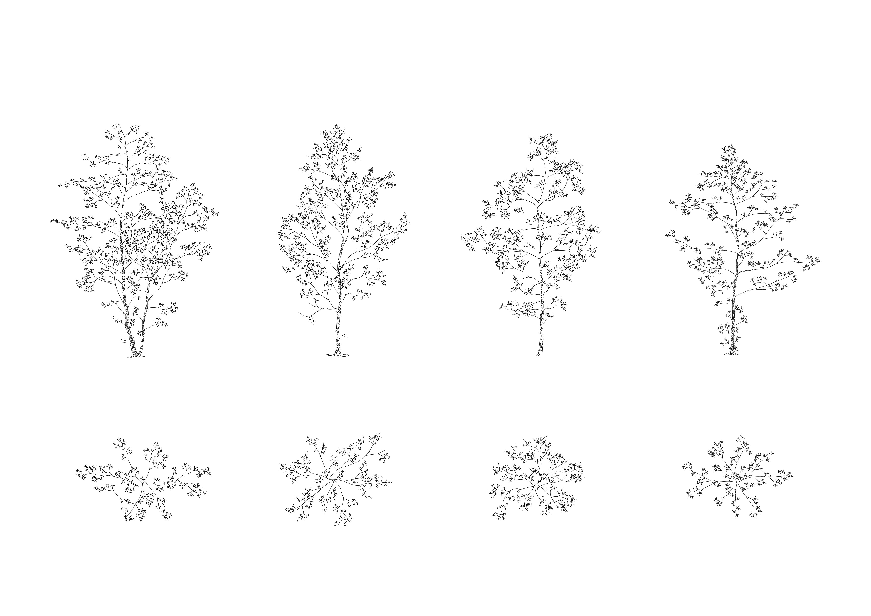 Deciduous Trees DWG CAD Blocks in Plan and Elevation (30 pieces ...