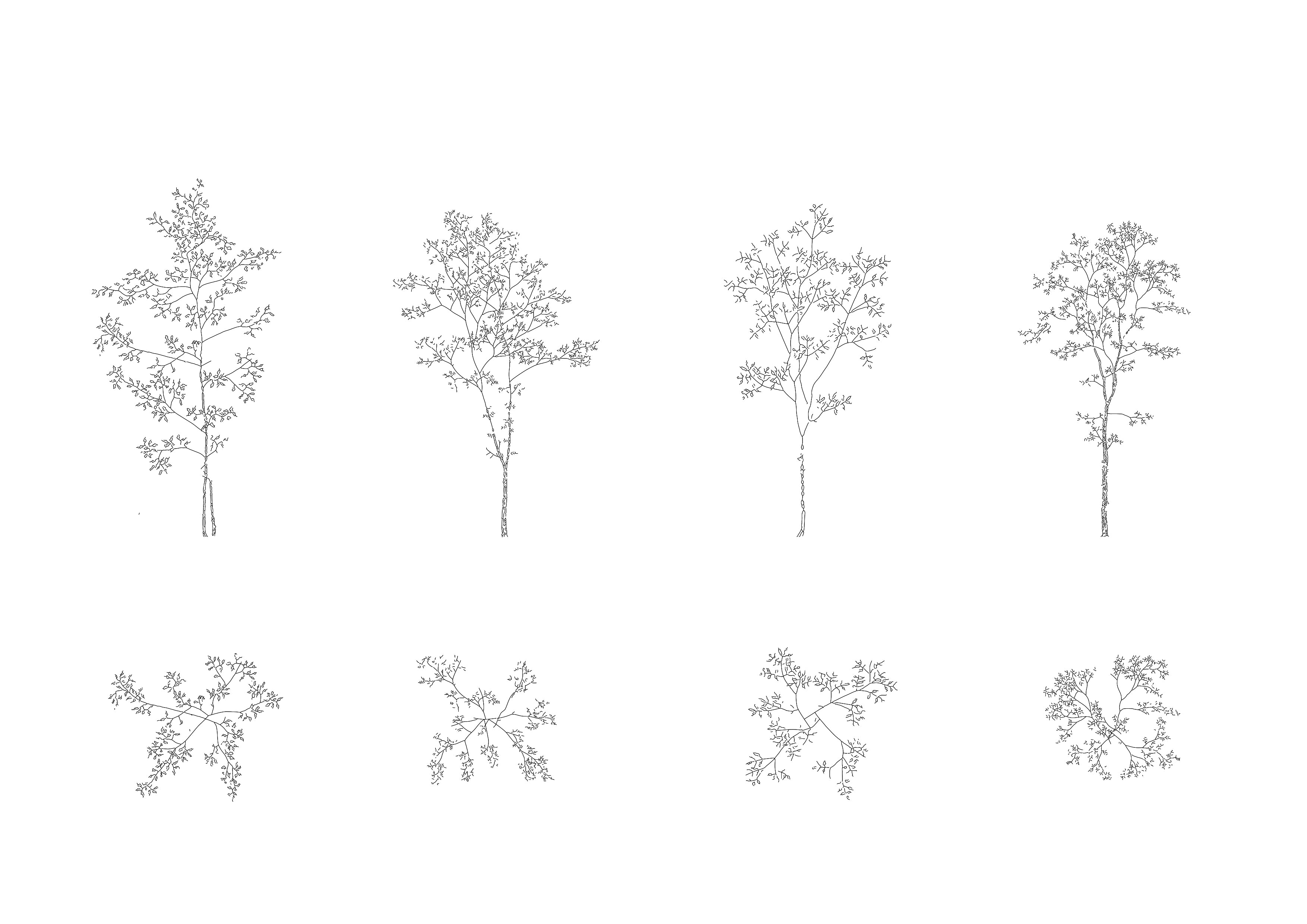 Deciduous Trees DWG CAD Blocks in Plan and Elevation (30 pieces ...