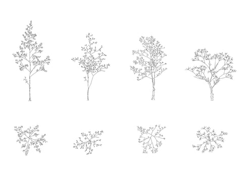 Trees and Saplings DWG CAD Blocks in Plan and Elevation (30 pieces ...