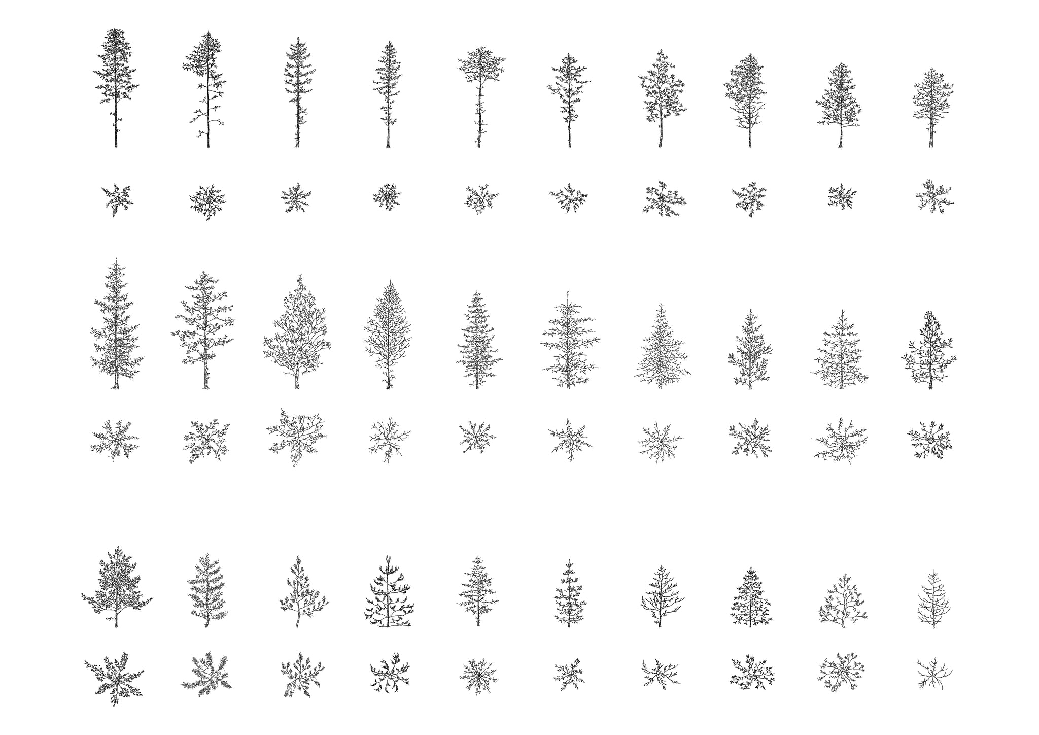 Trees and Pine Trees DWG CAD Blocks in Plan and Elevation (90 Pieces ...