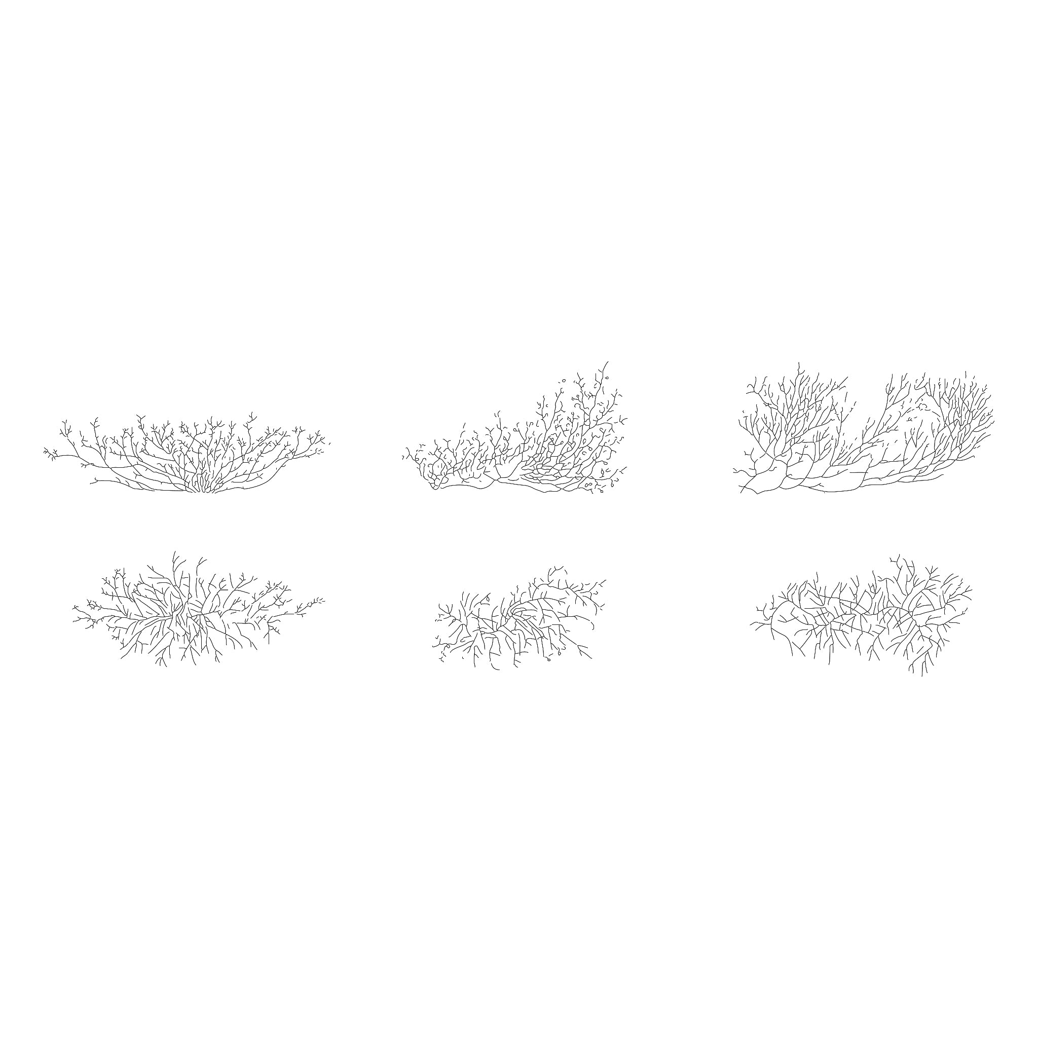 how to draw shrubs | DrawnToGarden